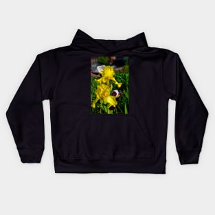 Yellow Iris Kids Hoodie